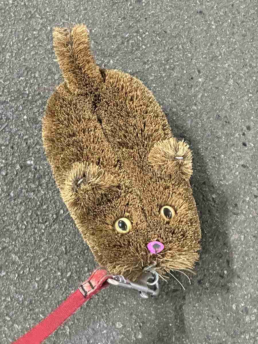 可愛い“たわし”を散歩させている男性に遭遇⇨投稿に「東京ってすごい･･･」「私も出会ったことあります」と反響