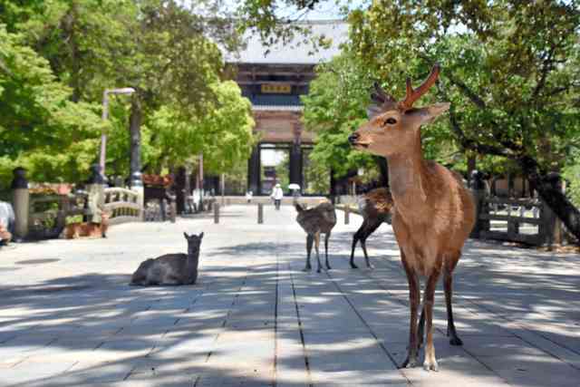 速攻でどこの都道府県なのか分かりそうな画像を貼っていくトピ