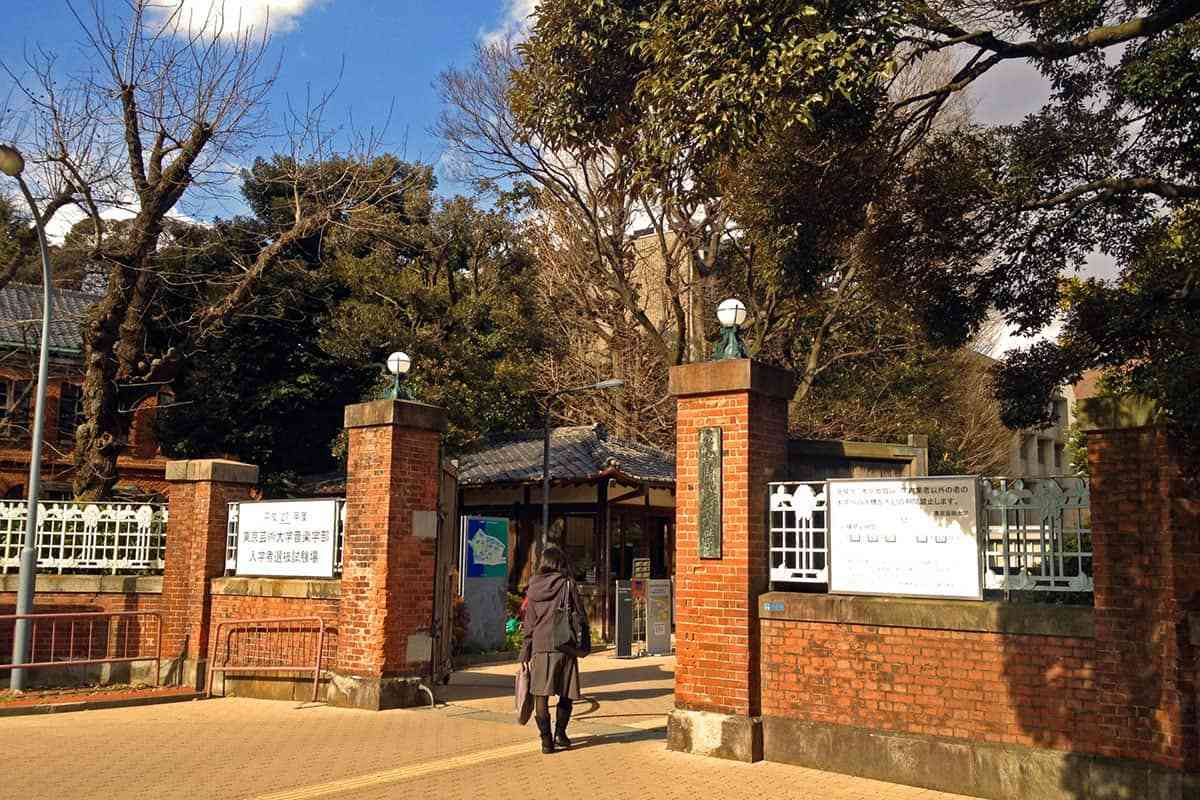 東京藝大、練習ピアノ売却の衝撃…年1％ずつ予算削減で「お金がない！」学費・学食値上げ、空調も不調の惨状