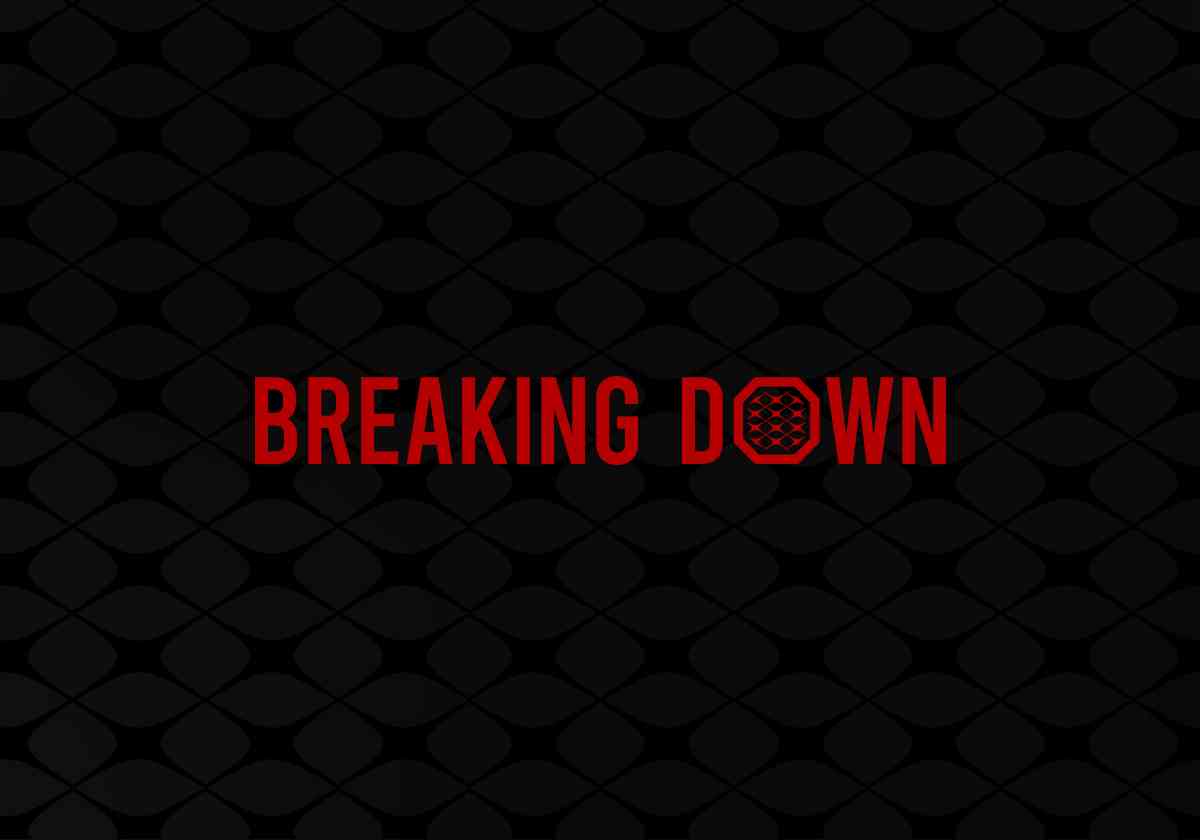 Breakingdownについて語るトピ