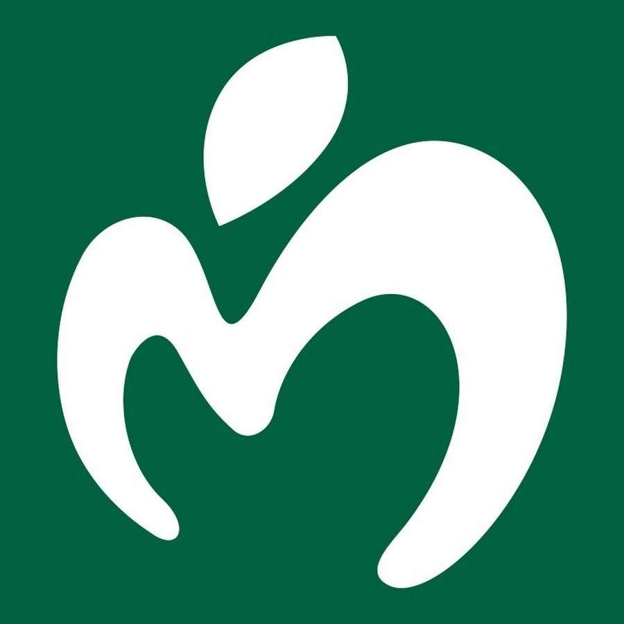 Mrs.GREEN APPLE好きな人