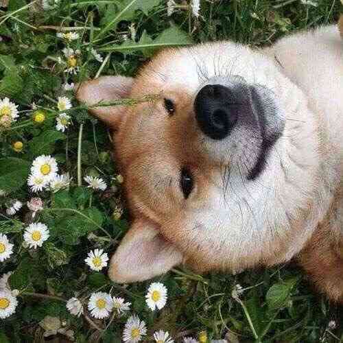 男の人って付き合い出すと調子に乗らない？