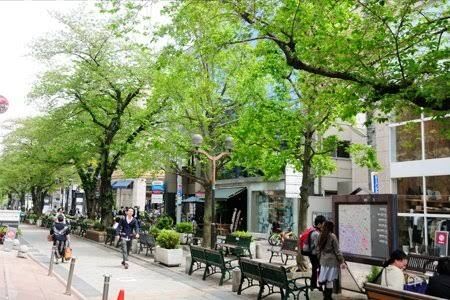 自由ヶ丘が好き
