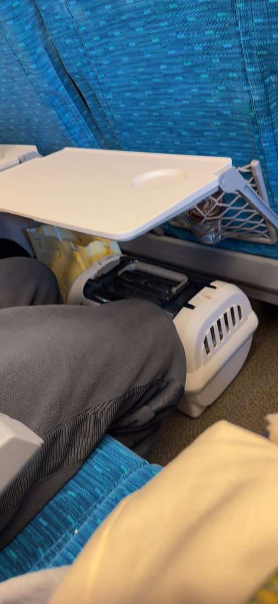 満席の新幹線座席でまさかの光景「同じ日本人として恥ずかしい」　ネットも騒然「ルール違反」