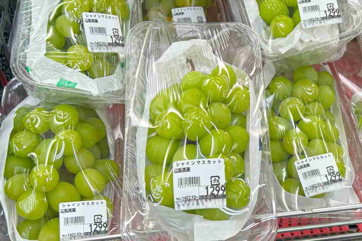 シャインマスカット398円ブーム、一部青果店から怒りの声「デマを流さないで欲しい」