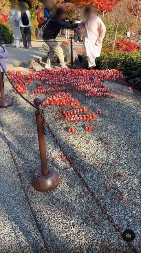 【大阪・勝尾寺】「ダルマの台湾島」参拝者破壊でSNS波紋　中国人か？台湾紙指摘...寺に聞いた境内の状況