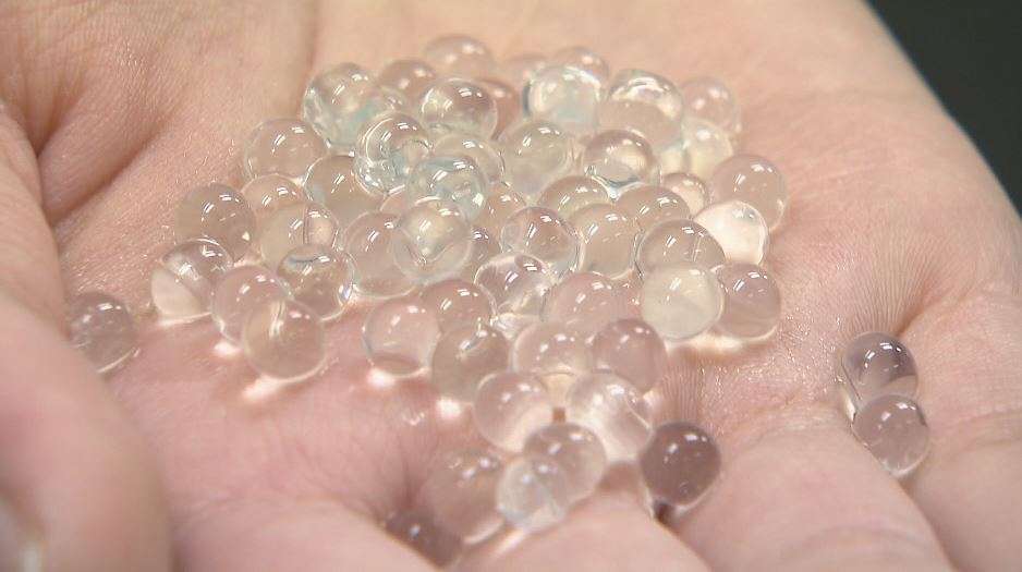 高校の“リケジョ”が快挙　女子生徒3人の研究が世界大会1位　二酸化炭素吸収する緑藻類入れた小さなボール開発　生徒「すごさを世界に広めたい」