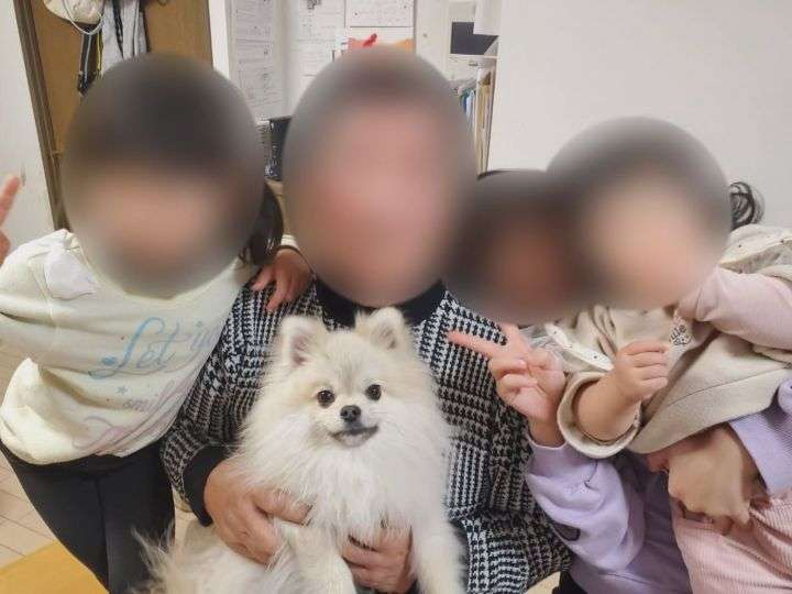 6歳女の子と散歩中…愛犬ポメラニアンが車にはねられ死んだ事故 走り去ったとみられる高齢男性を書類送検へ
