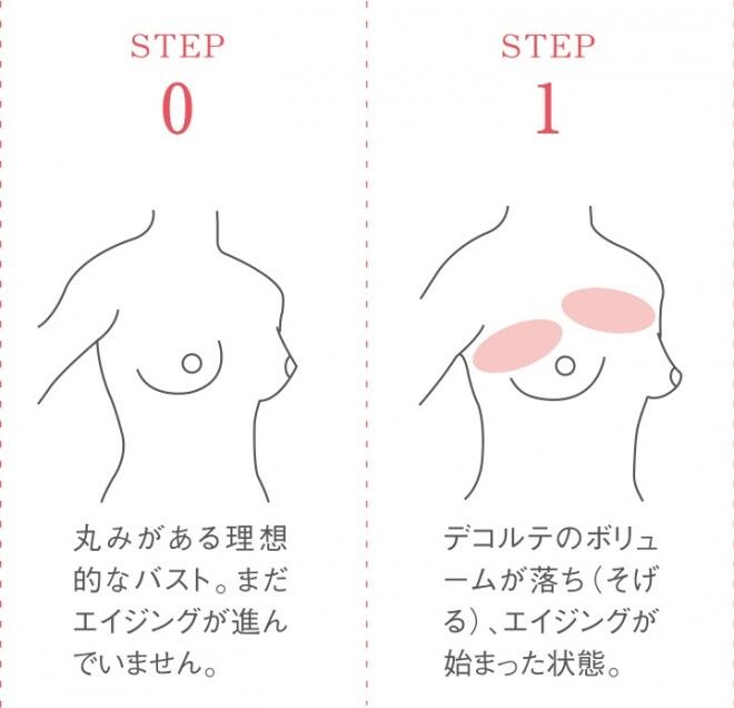 「バスト垂れてきたかも…」30代で約5割　一度垂れた胸は筋トレしても意味がない？