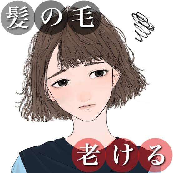 髪質の老化