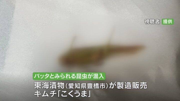 「口に入れたら長ネギの食感が…」キムチにバッタか　5㎝ほどの昆虫が混入　製造会社は原因を調査