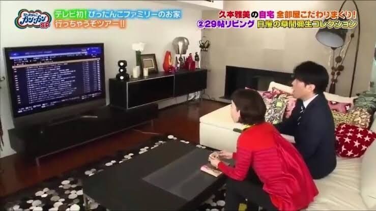 芸能人の自宅が見たい