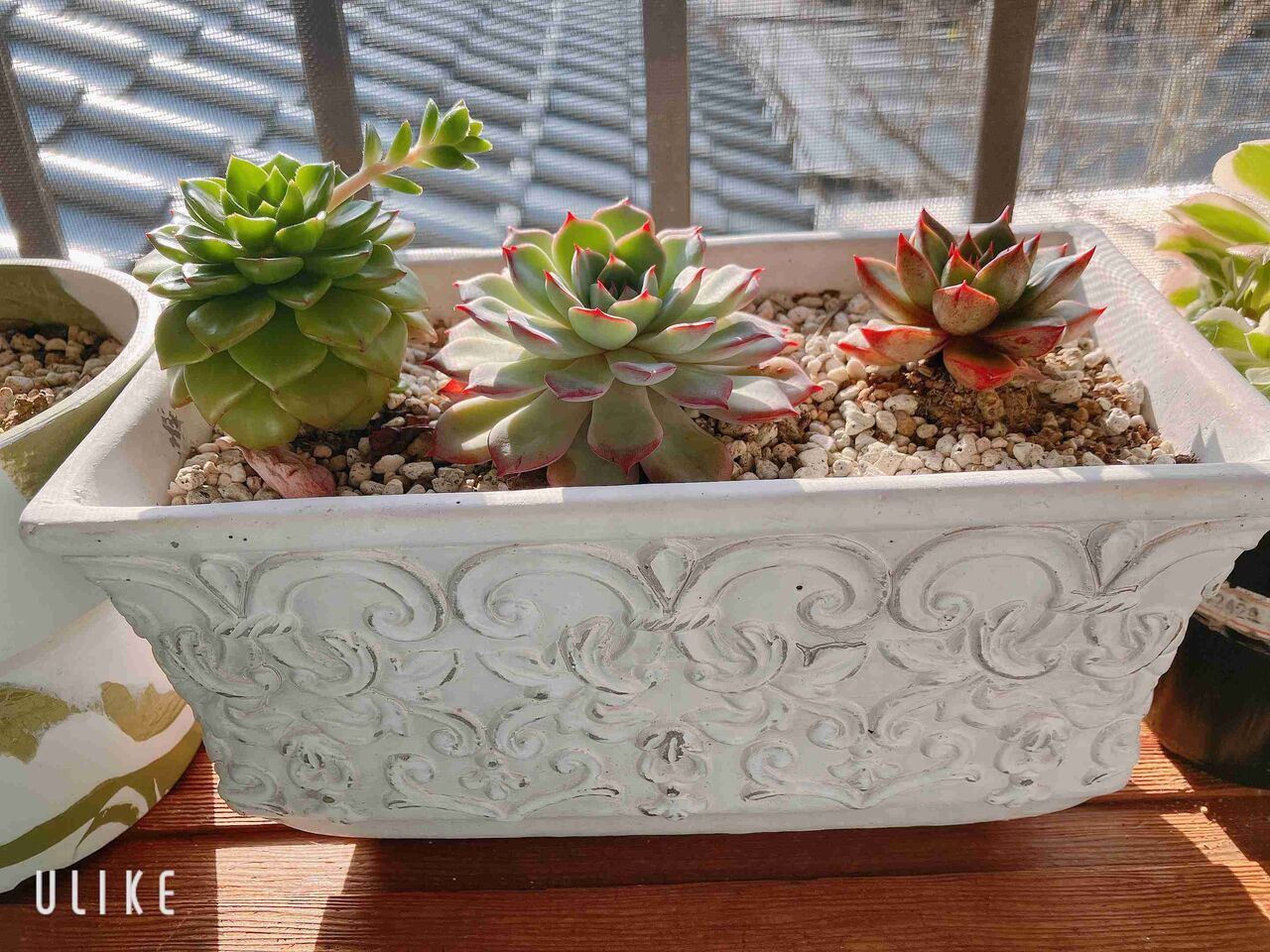 自分の趣味をプレゼンしよう