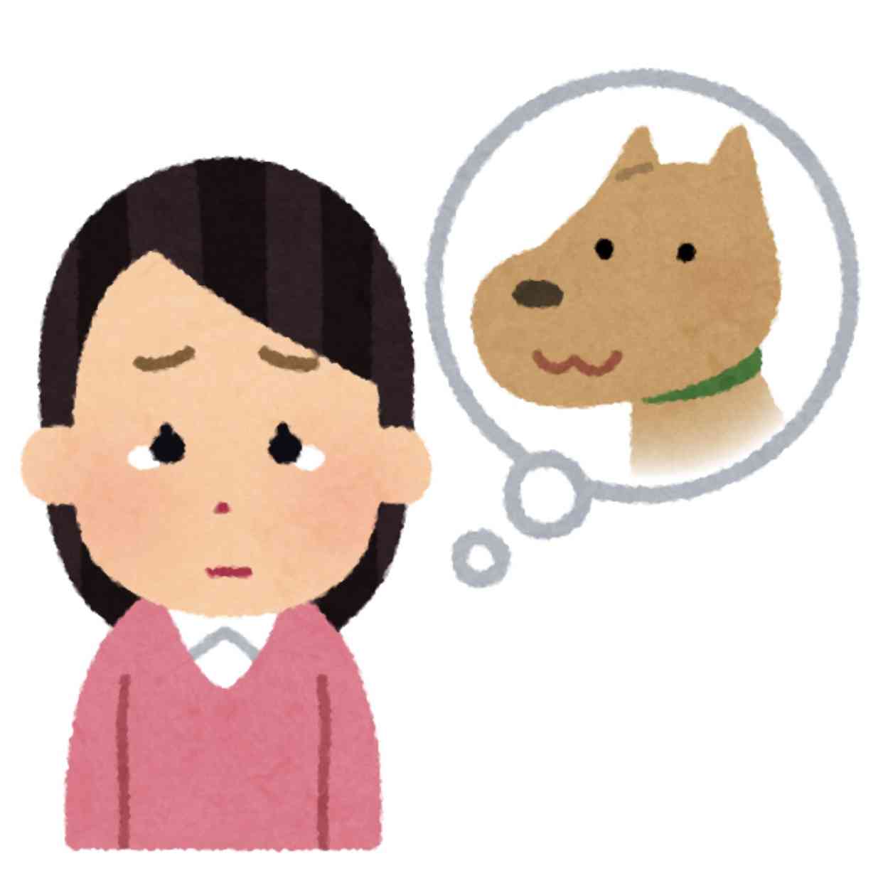 ペットロスを乗り越えた方