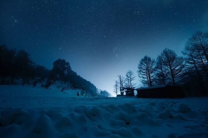 ずっと冬でいてほしい