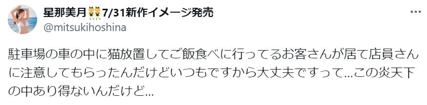 「ひどすぎる」炎天下の駐車場“冷房なし”でネコを車内放置　飼い主に怒りの声「飼う資格なし」
