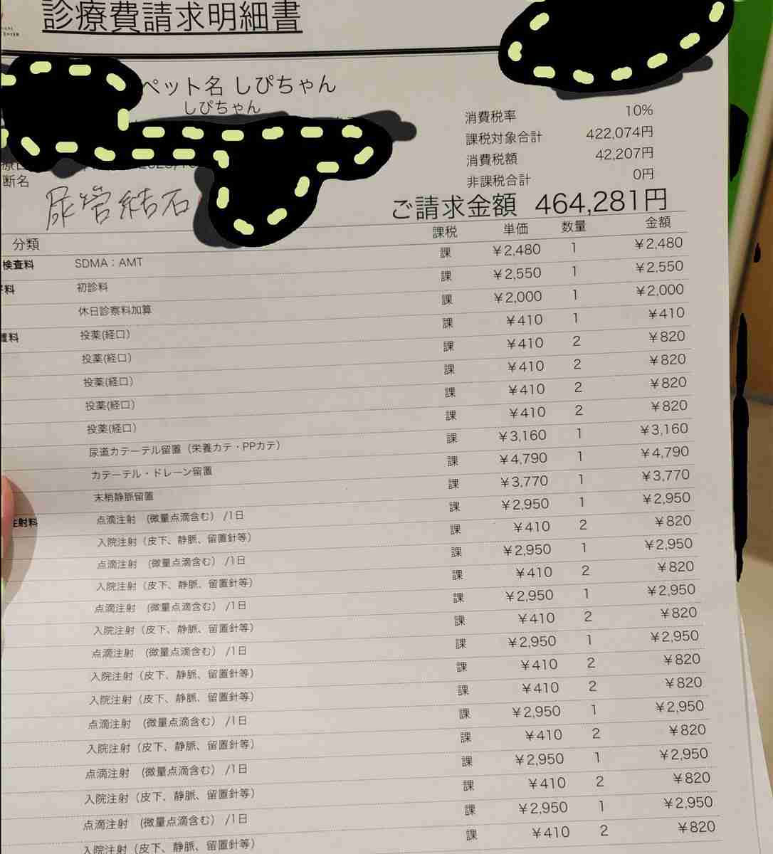 愛猫が急病で入院、その医療費46万円超…！　リアルな金額公開に飼い主が“命”と向き合う覚悟を伝える