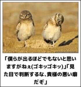 男を見る目がない人の語り場