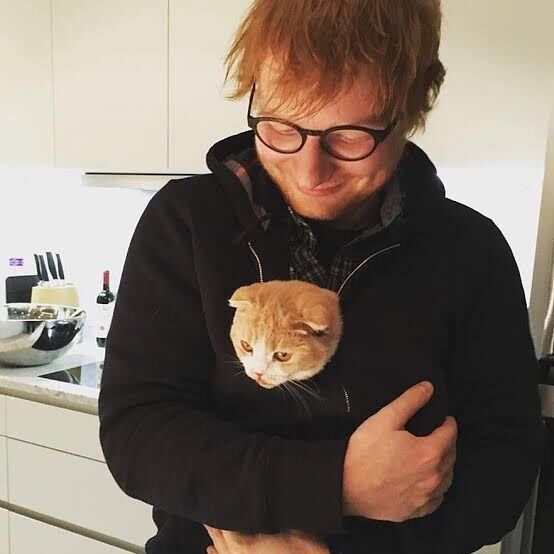 【画像】猫と有名人【の日】