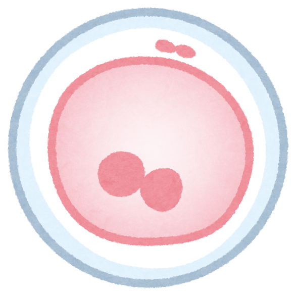 【体外受精】保険適用の制限どう思う？