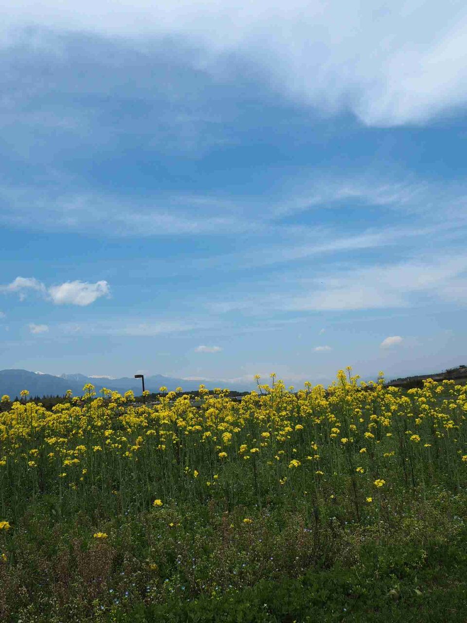 引っ越しをするべきか‥（夫から、来月の家賃が払えないと伝えられました）