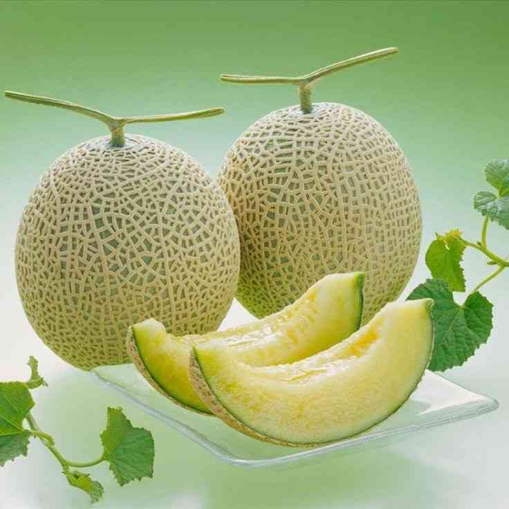 限界まで食べたいもの