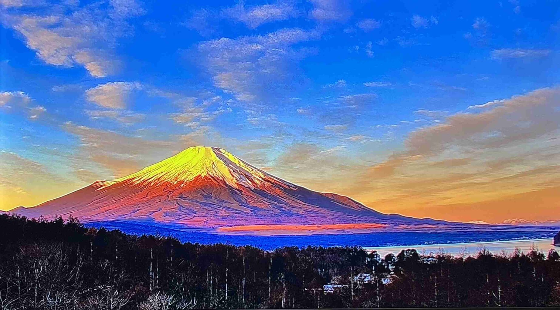 ほぼ毎日チェックしている事（ジャンルは問いません）