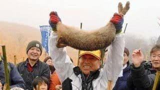 村の伝統行事「うさぎ追い」3年ぶり開催も賛否　「ただの虐待」「時代錯誤」一方「反対はしない」の意見も
