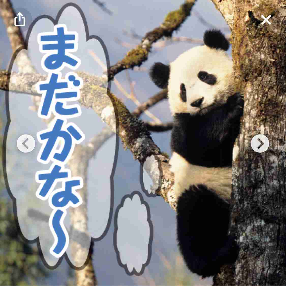 婦人科待ち時間が謎の件