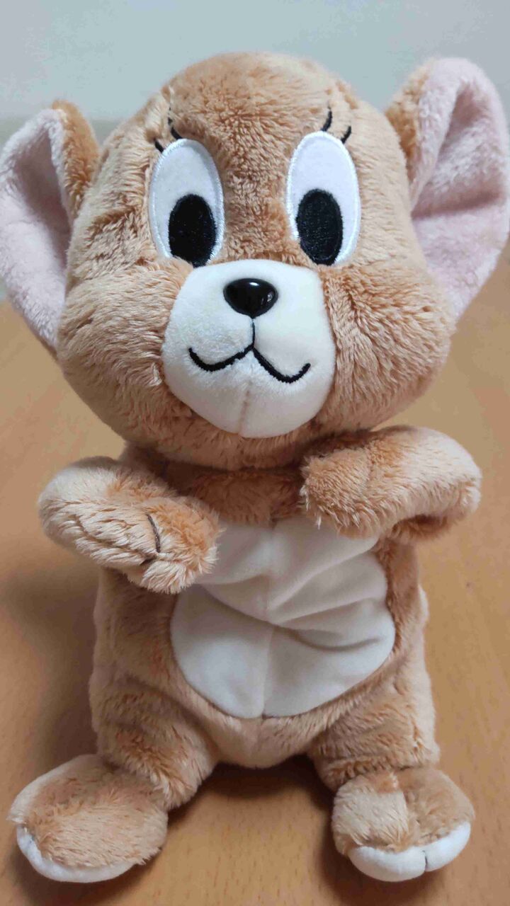 【見〜せ〜て〜】今年買ったお気に入りのもの【い〜い〜よ〜】