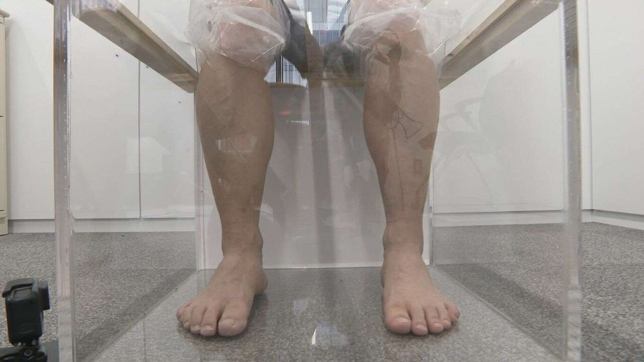 「蚊」の活動がこれから活発に…効果的な対策は「足のにおいを消す」実験してみると一目瞭然