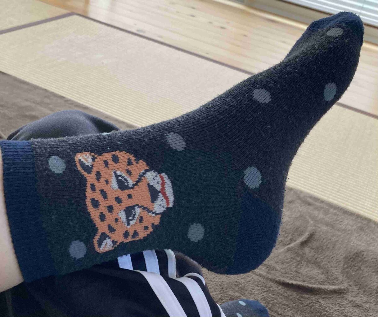 今履いてる靴下を晒すトピ