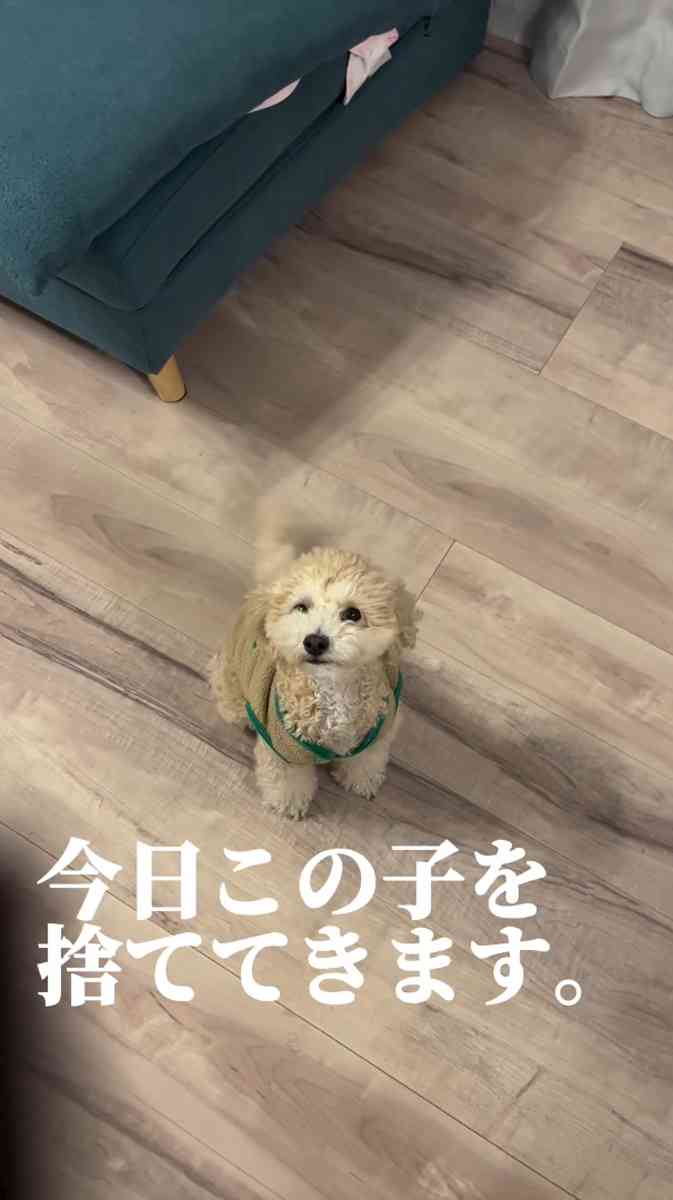 「今日、この子を捨ててきます」「こんなにお金かかるなんて」　ペットを捨てる人の心境再現と問いかけに反響