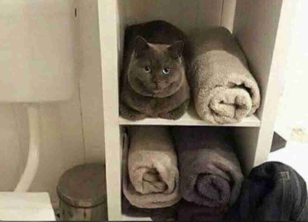 今までに散々こすられている問題を改めて聞いてみる