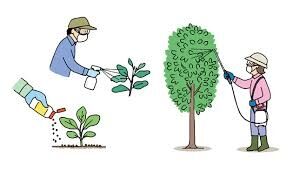 個人的にやめてほしい風潮