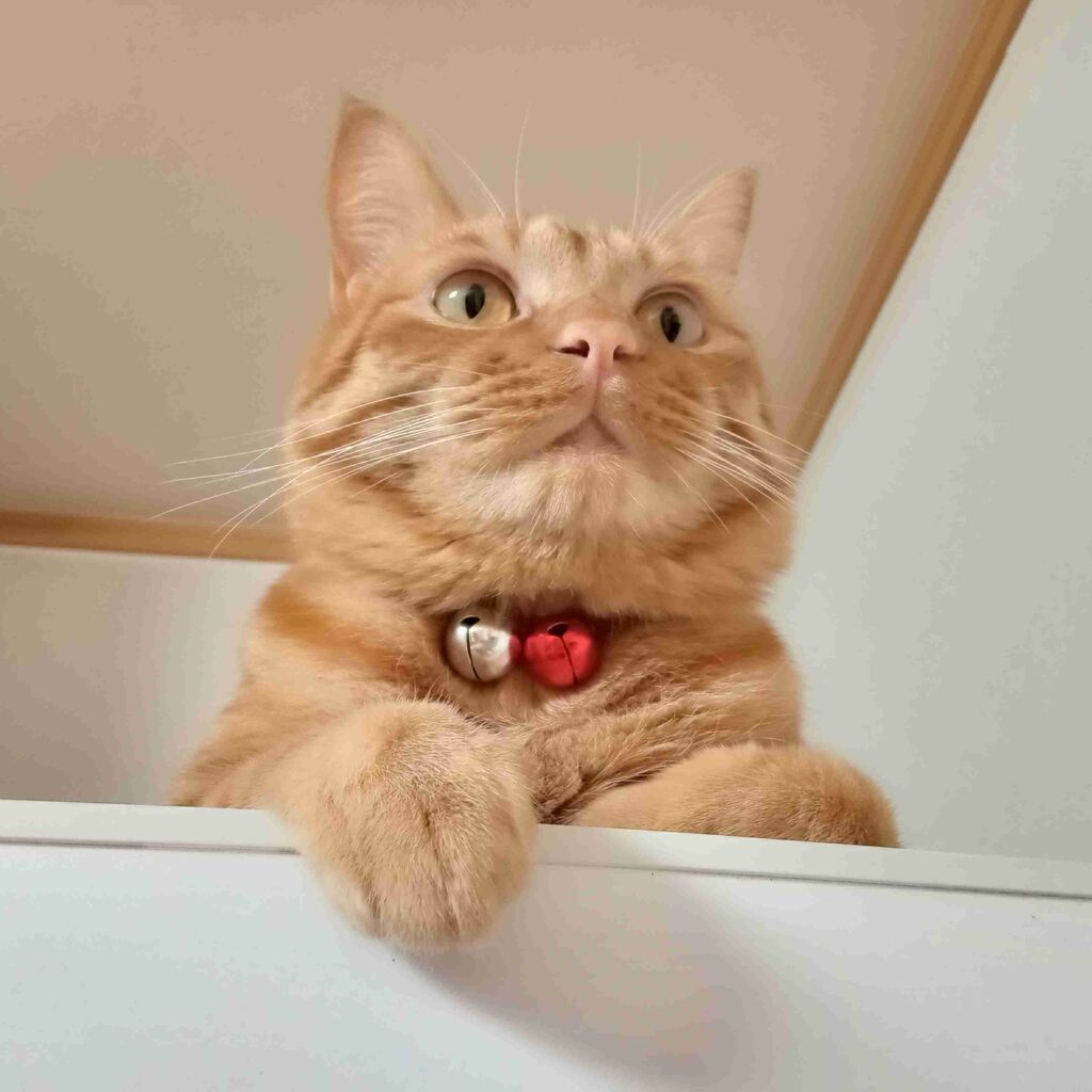 あなたがこの世で一番愛している人