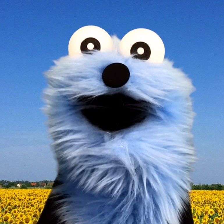 スンスンの可愛さもっと教えてください