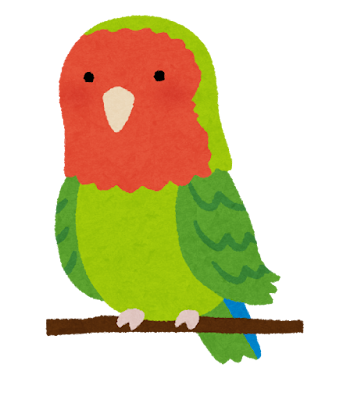 インコについて