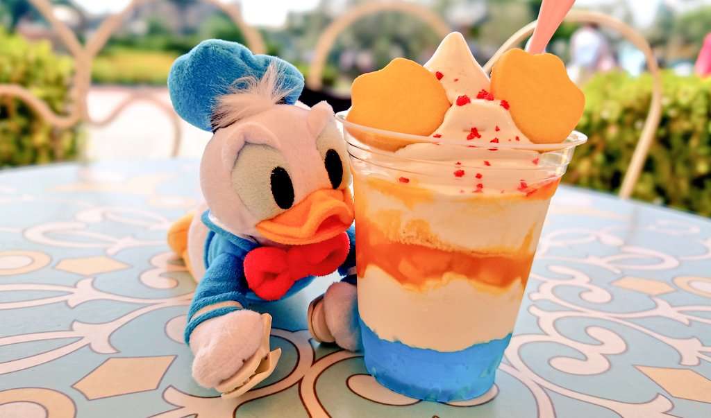 ぬい撮りしてる人