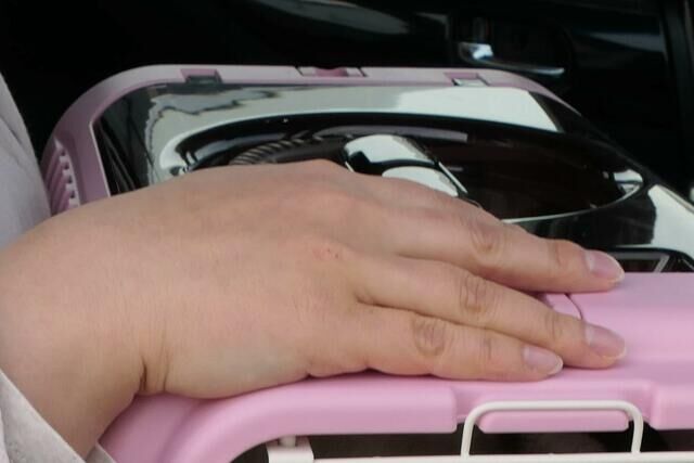 「働けない自分に価値はない…」パニック障害で失った15年「惨めだった」生活保護暮らしから社会復帰目指した49歳女性の足跡