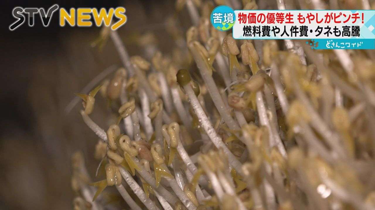 【家計の味方】安くて人気のもやし　生産者は減少　コスト高も価格転嫁できず苦しい経営
