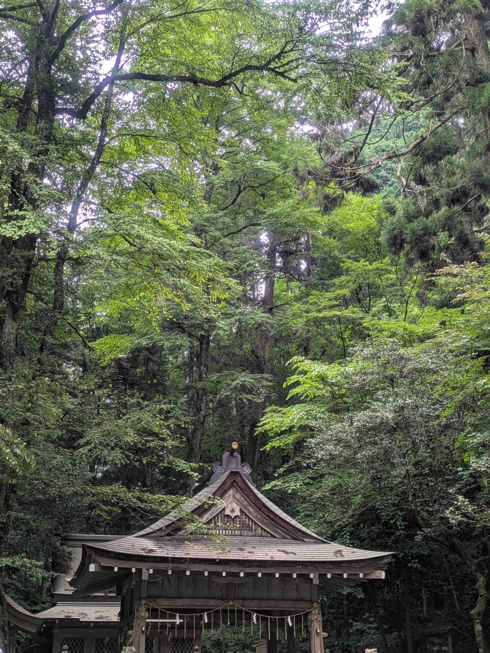 最近行った神社仏閣