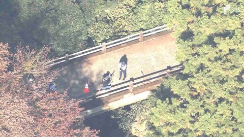 美味しさが分からない食べ物