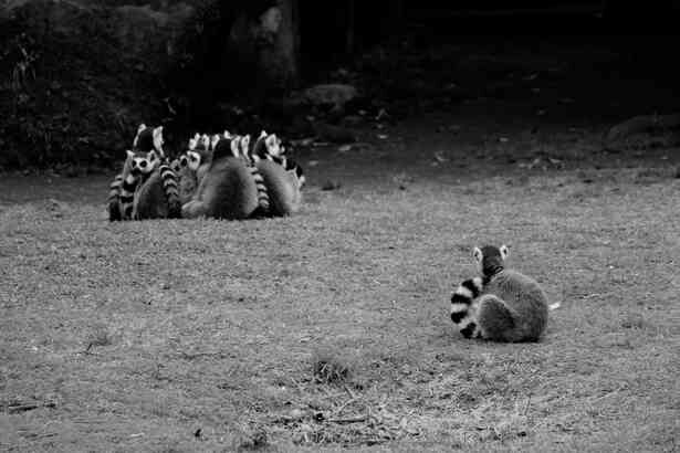 見たら切ない気持ちになるかもしれないトピ