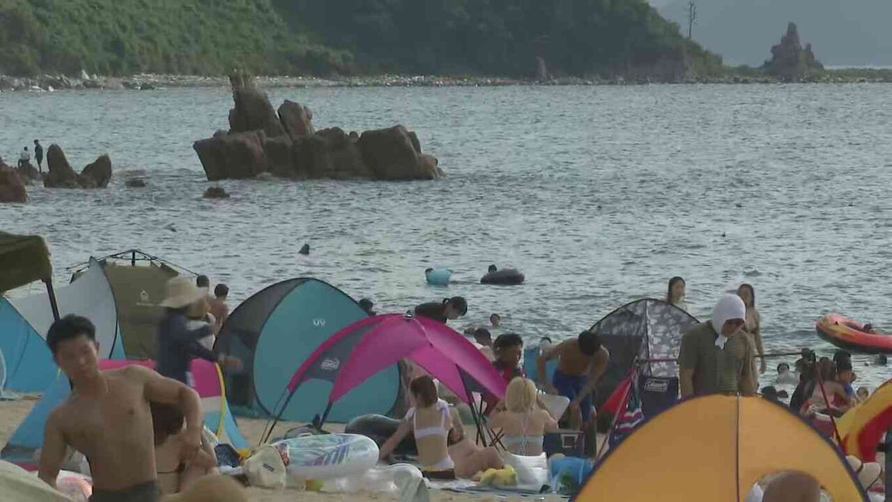 “かみつきイルカ”また大暴れ 7針縫うなど2人けが 福井・美浜町の水晶浜海水浴場