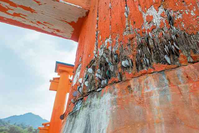 『参拝のデマ』で神社が悲鳴　被害の内容に「これは酷い」「広まってほしい」