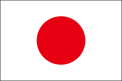 びっくりした他人の家の献立