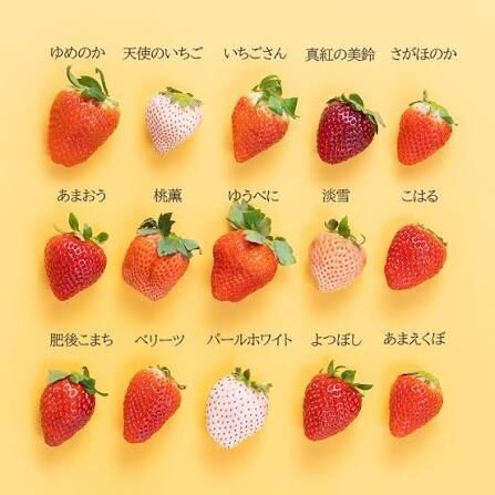 苺のなにが可愛いのかわからない