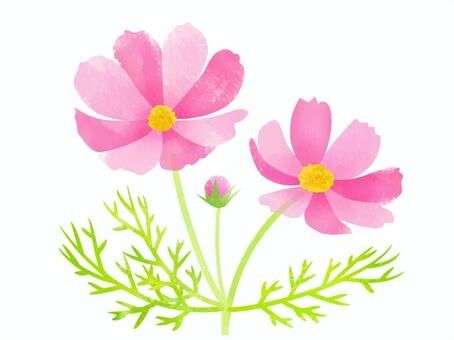 5歳児の母が語るトピ