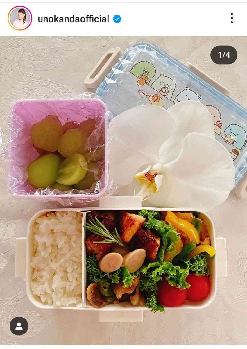 神田うの、新学期スタートの１１歳長女に作った弁当が見事！おかずギッシリ＆花を添えて「仕上がりました」